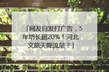 网友自发打广告，5年增长超20%！河北文旅天降流量？