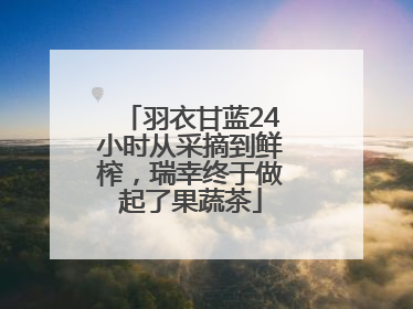 羽衣甘蓝24小时从采摘到鲜榨，瑞幸终于做起了果蔬茶