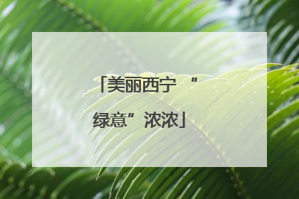 美丽西宁 “绿意”浓浓