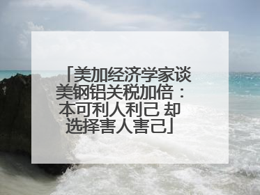 美加经济学家谈美钢铝关税加倍：本可利人利己 却选择害人害己