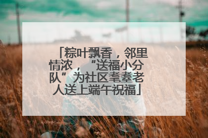 粽叶飘香，邻里情浓，“送福小分队”为社区耄耋老人送上端午祝福