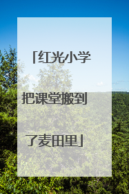 红光小学把课堂搬到了麦田里