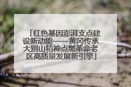 红色基因澎湃支点建设新动能——黄冈传承大别山精神点燃革命老区高质量发展新引擎