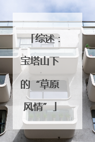 综述：宝塔山下的“草原风情”