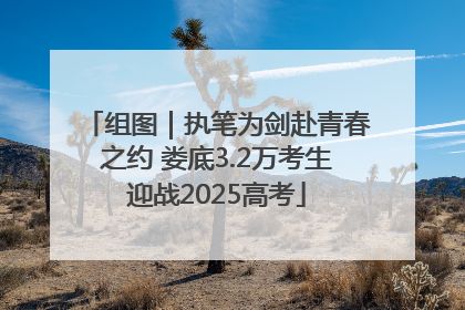 组图｜执笔为剑赴青春之约 娄底3.2万考生迎战2025高考