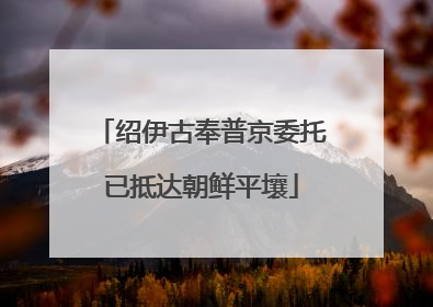 绍伊古奉普京委托已抵达朝鲜平壤