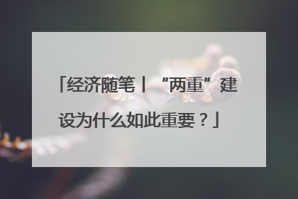 经济随笔丨“两重”建设为什么如此重要？