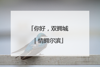 你好，双拥城｜情拥尔滨