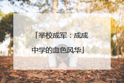 举校成军：成成中学的血色风华