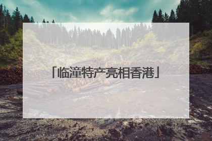 临潼特产亮相香港