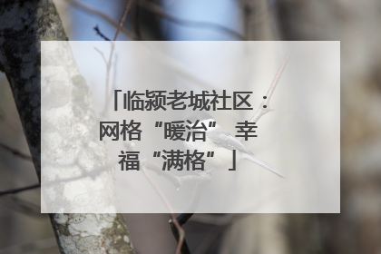 临颍老城社区：网格“暖治” 幸福“满格”