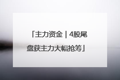 主力资金｜4股尾盘获主力大幅抢筹