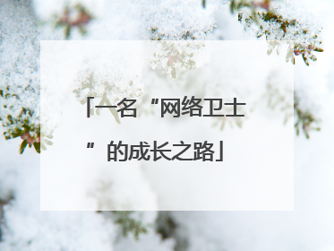 一名“网络卫士”的成长之路