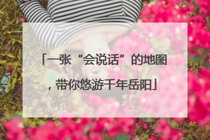 一张“会说话”的地图，带你悠游千年岳阳