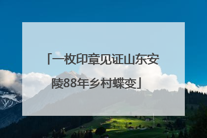 一枚印章见证山东安陵88年乡村蝶变