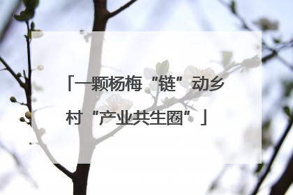 一颗杨梅“链”动乡村“产业共生圈”
