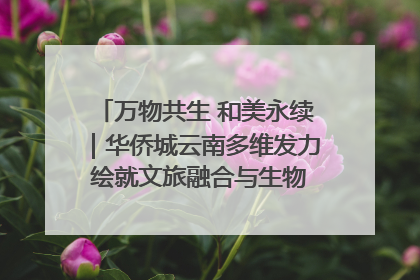 万物共生 和美永续｜华侨城云南多维发力 绘就文旅融合与生物多样性保护新图景
