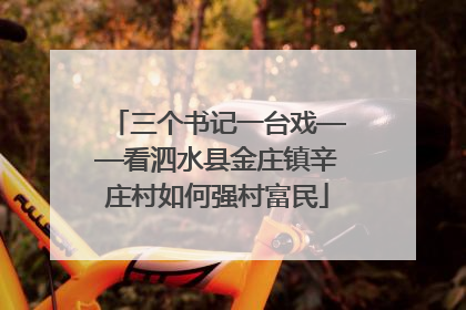 三个书记一台戏——看泗水县金庄镇辛庄村如何强村富民