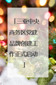 三亚中央商务区党建品牌创建工作正式启动