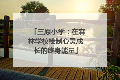 三原小学：在森林学校绘制心灵成长的终身能量