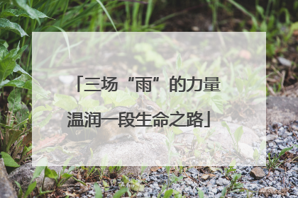 三场“雨”的力量温润一段生命之路
