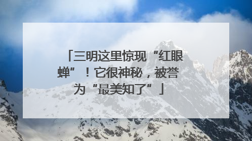 三明这里惊现“红眼蝉”！它很神秘，被誉为“最美知了”