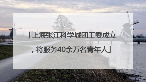 上海张江科学城团工委成立，将服务40余万名青年人
