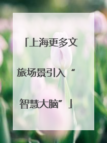 上海更多文旅场景引入“智慧大脑”