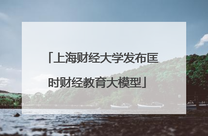上海财经大学发布匡时财经教育大模型