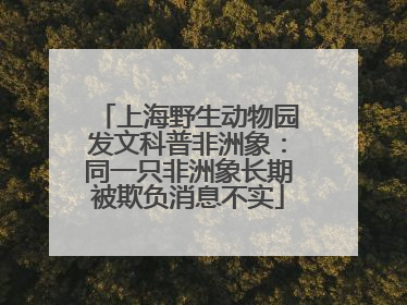 上海野生动物园发文科普非洲象：同一只非洲象长期被欺负消息不实