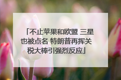 不止苹果和欧盟 三星也被点名 特朗普再挥关税大棒引强烈反应