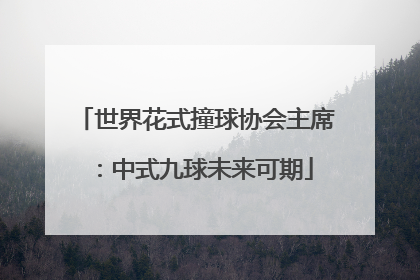 世界花式撞球协会主席：中式九球未来可期