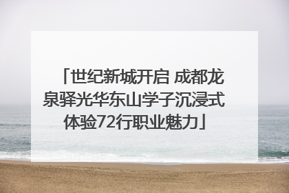 世纪新城开启 成都龙泉驿光华东山学子沉浸式体验72行职业魅力