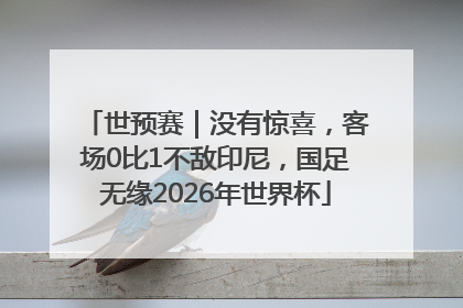世预赛｜没有惊喜，客场0比1不敌印尼，国足无缘2026年世界杯