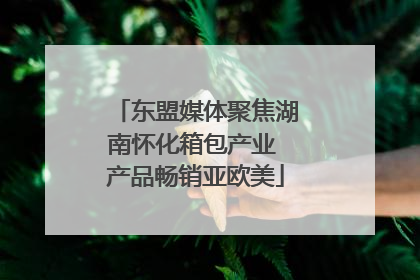 东盟媒体聚焦湖南怀化箱包产业 产品畅销亚欧美