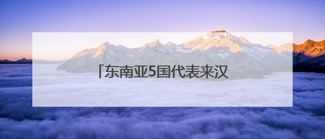 东南亚5国代表来汉寻江豚“保护处方”