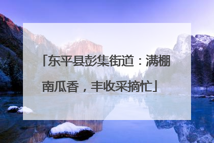 东平县彭集街道：满棚南瓜香，丰收采摘忙