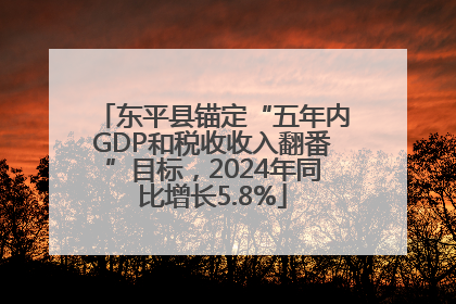 东平县锚定“五年内GDP和税收收入翻番”目标，2024年同比增长5.8%