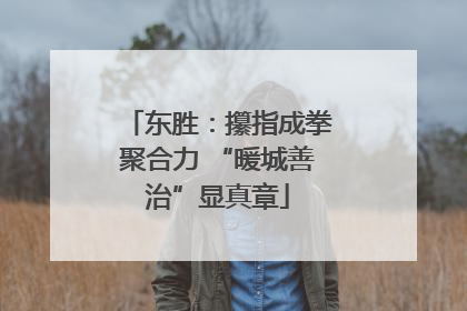 东胜：攥指成拳聚合力 “暖城善治”显真章