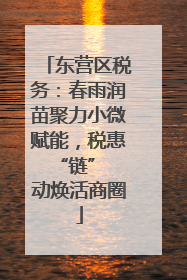 东营区税务：春雨润苗聚力小微赋能，税惠 “链” 动焕活商圈