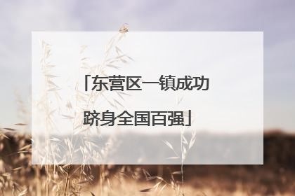 东营区一镇成功跻身全国百强