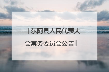东阿县人民代表大会常务委员会公告