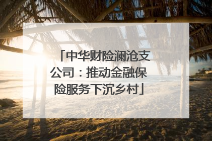 中华财险澜沧支公司：推动金融保险服务下沉乡村
