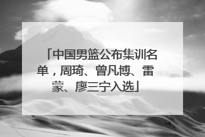 中国男篮公布集训名单，周琦、曾凡博、雷蒙、廖三宁入选