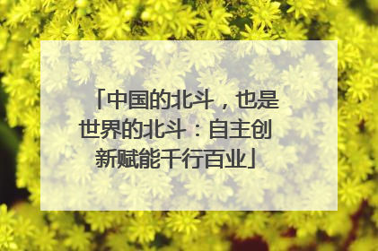中国的北斗，也是世界的北斗：自主创新赋能千行百业
