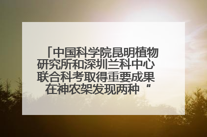 中国科学院昆明植物研究所和深圳兰科中心联合科考取得重要成果 在神农架发现两种“国保”级兰花