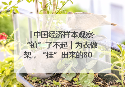 中国经济样本观察·“镇”了不起｜为衣做架，“挂”出来的80亿元“衣架产业”