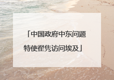 中国政府中东问题特使翟隽访问埃及