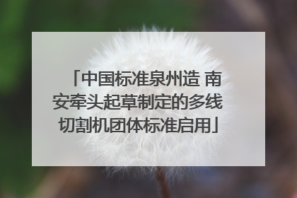 中国标准泉州造 南安牵头起草制定的多线切割机团体标准启用