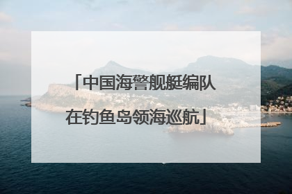 中国海警舰艇编队在钓鱼岛领海巡航